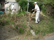 駐車場リフォーム伐採中